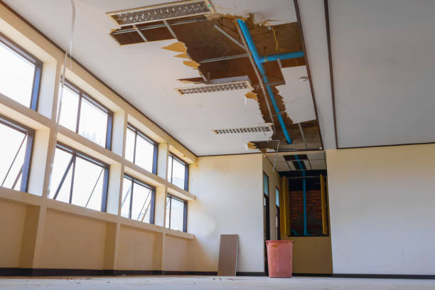 Best Professional water damage repair  in Egypt Lake Leto, FL
