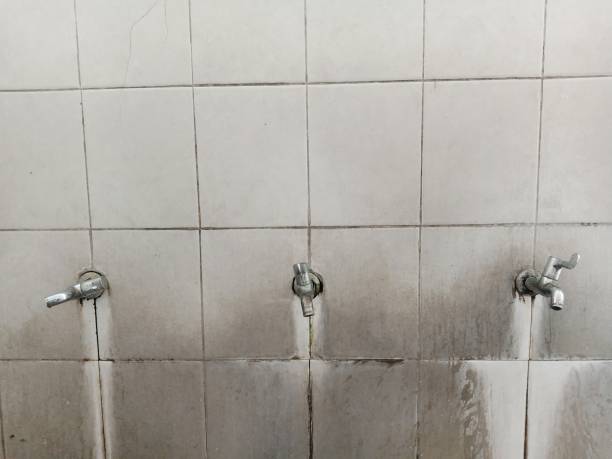Best Residential water damage restoration  in Egypt Lake Leto, FL
