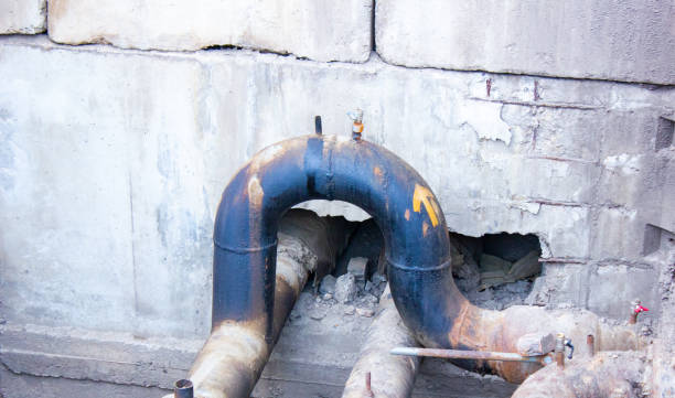 Best Sewage cleanup and water damage restoration  in Egypt Lake Leto, FL