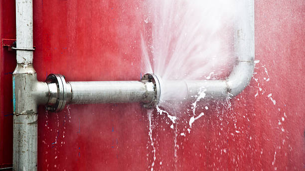 Best Ceiling water damage repair  in Egypt Lake Leto, FL
